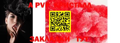 2c-b Кингисепп