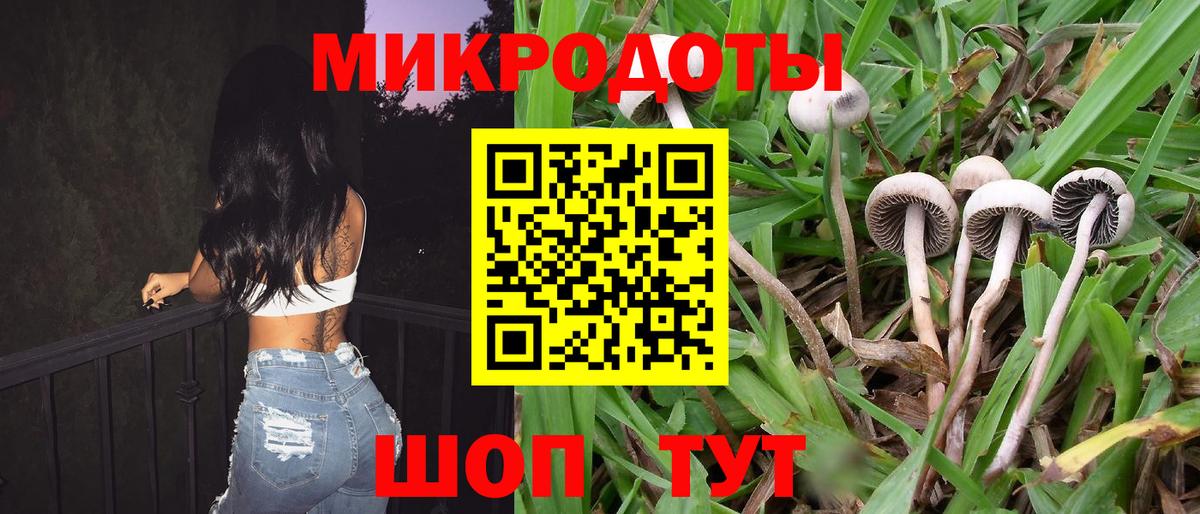 Галлюциногенные грибы прущие грибы Ишимбай