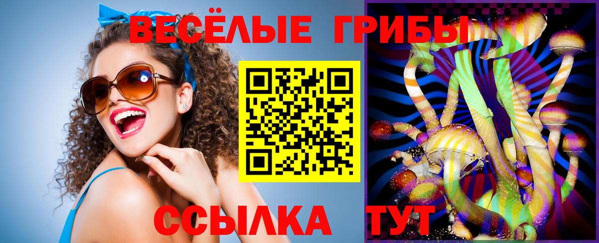 Ишимбай  Галлюциногенные грибы Magic Shrooms  цена наркотик  Вход с VPN  Псилоцибиновые грибы Magic Shrooms 
